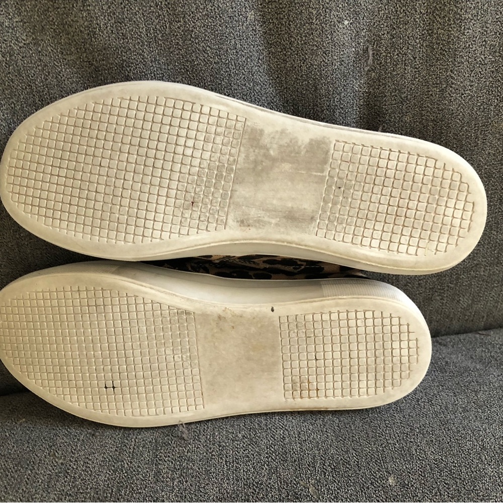 Steve Madden Gills Leopard Print Sneakers - Picture 4 of 6